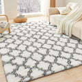 Litanika 6x9 Geometric Shag Area Rug for Cozy Home Decor