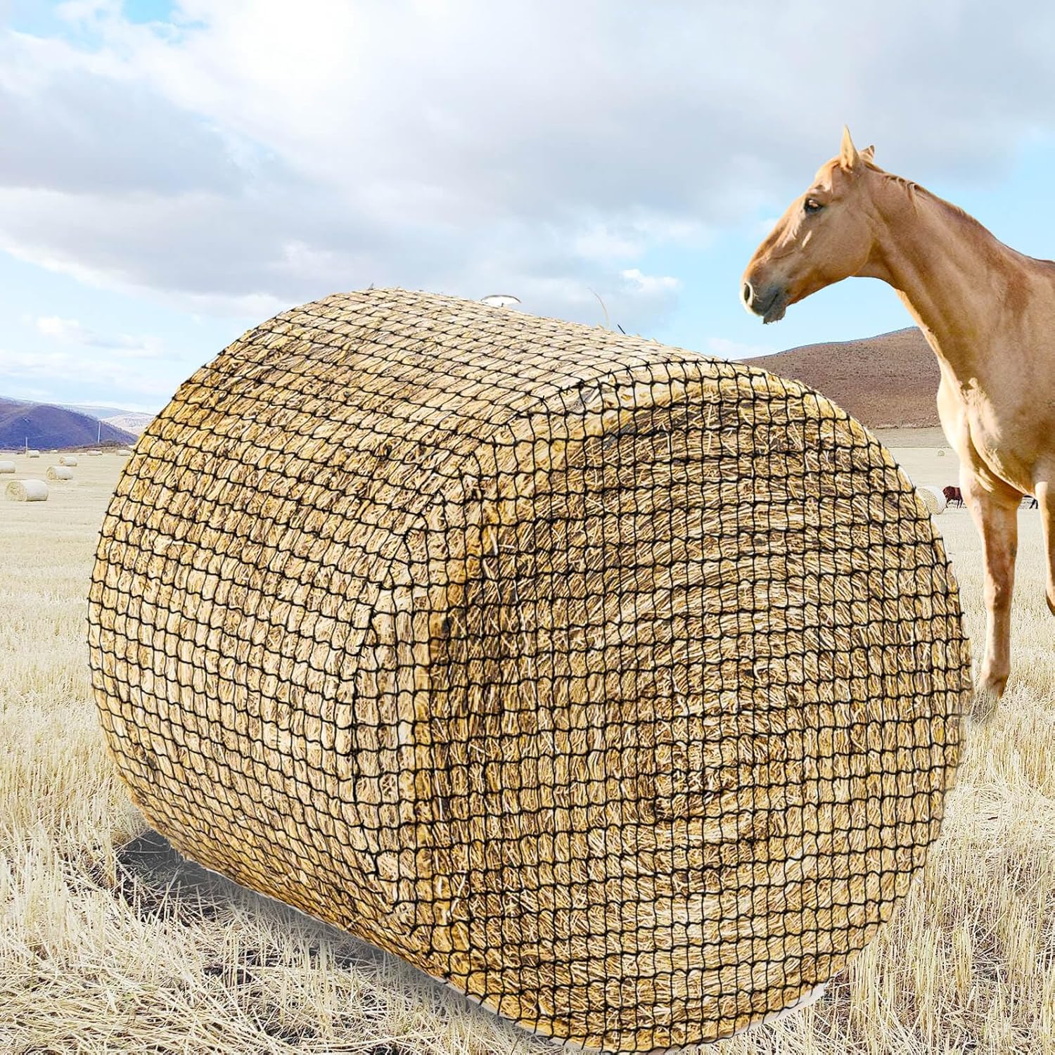 Thick & Durable Round Bale Hay Net for Horses - 5x5ft Size