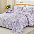 Queen Quilt Set Botanical Reversible Quilt - Lightweight All-Season