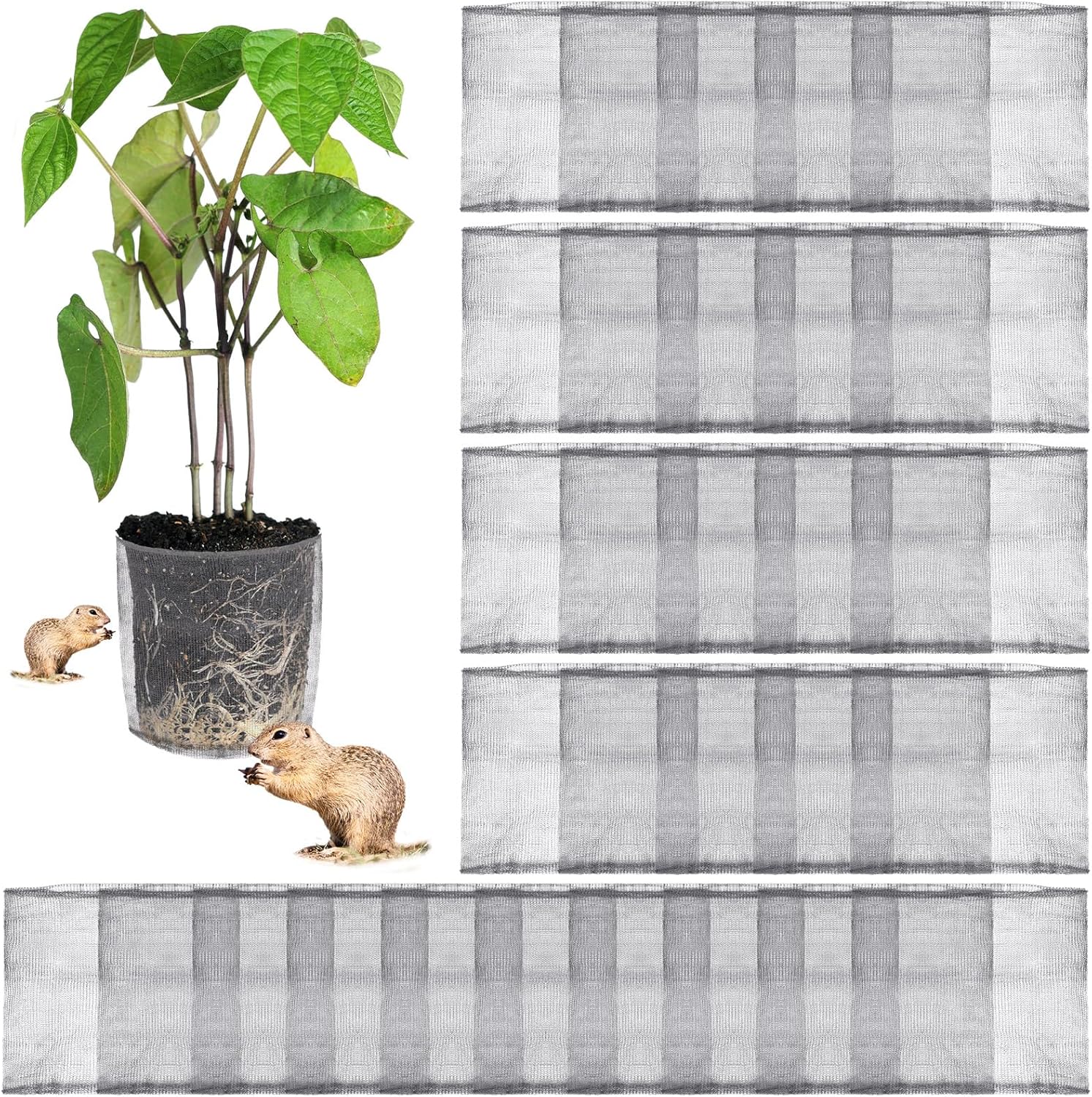 50 Pcs Gopher and Vole Wire Mesh Basket for Plant Protection