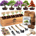 Bonsai Tree Kit for Beginners 5X Unique Japanese Bonsai Trees