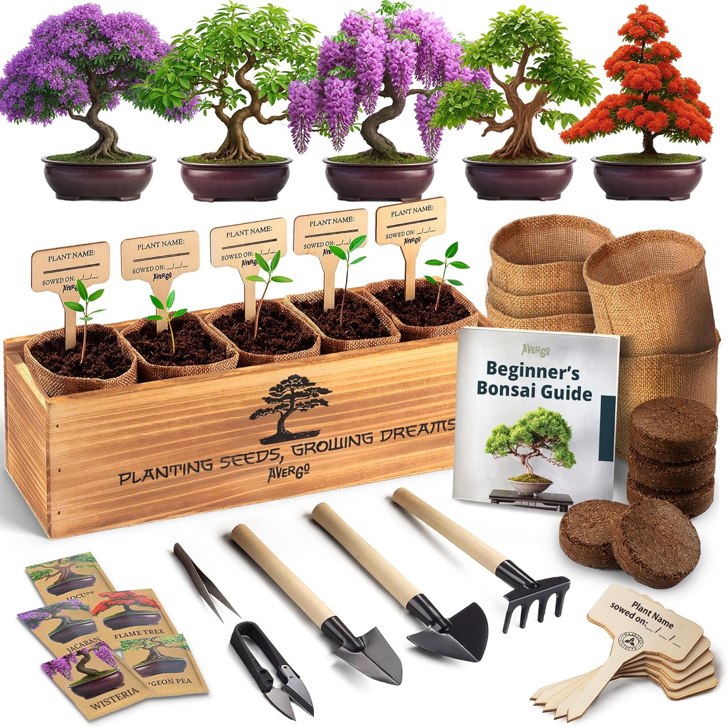 Bonsai Tree Kit for Beginners - Grow Unique Japanese Trees