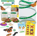 Insect Lore Butterfly Garden Kit with Live Caterpillars - Hands-On