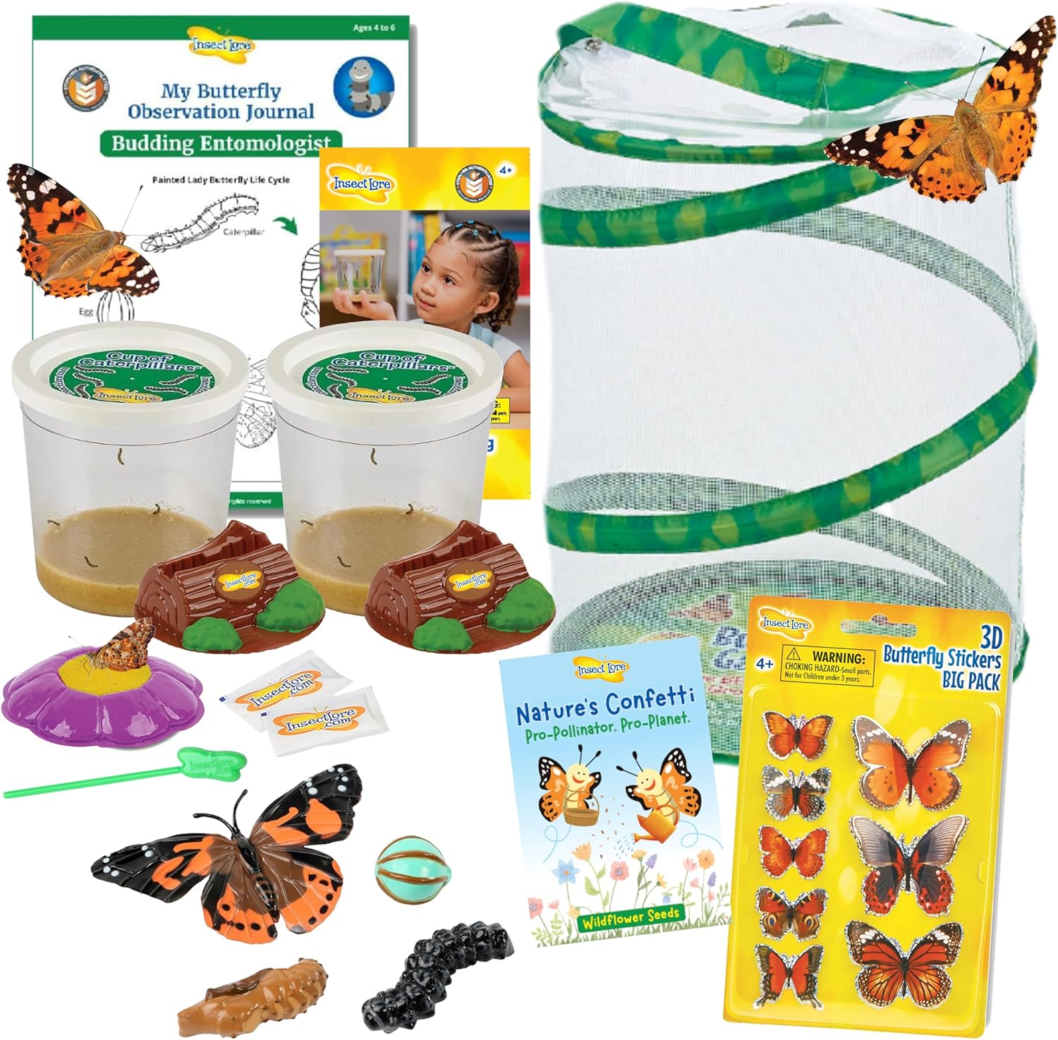 Insect Lore Butterfly Garden Kit for Growing Live Caterpillars
