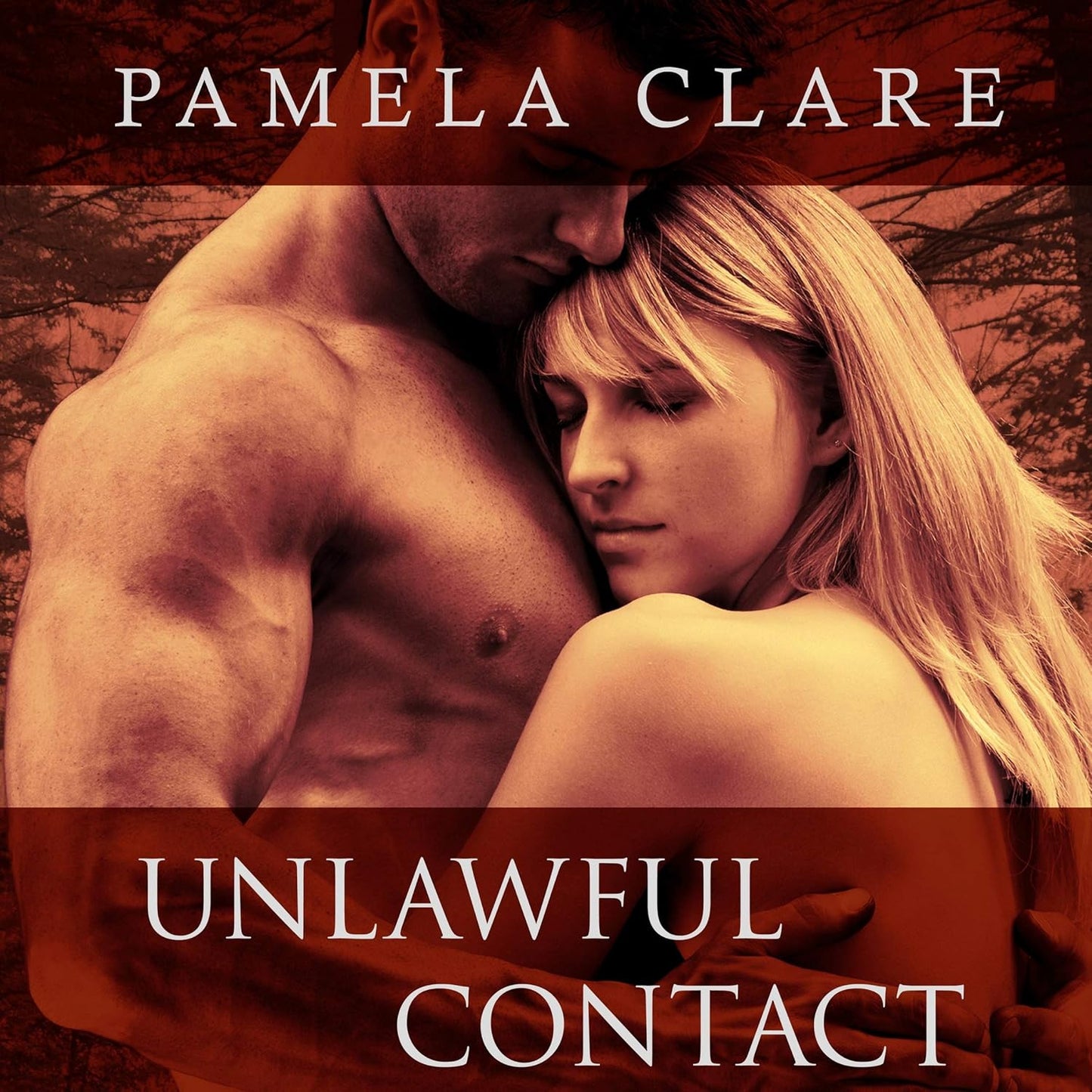 Unlawful Contact by Pamela Clare: A Gripping I-Team Thriller