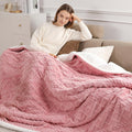 Electric Blanket Twin Heated Blanket 62in x 84in - Soft Sherpa Comfort