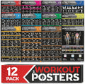Laminated Large Workout Poster Set for Home Gym Fitness