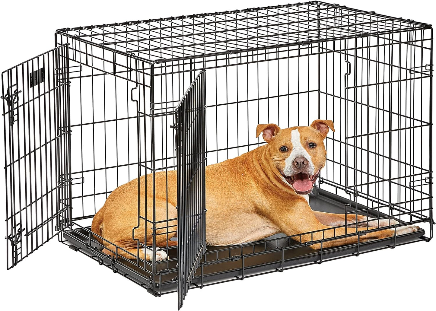 MidWest Homes for Pets 36-Inch Folding Dog Crate for Safety