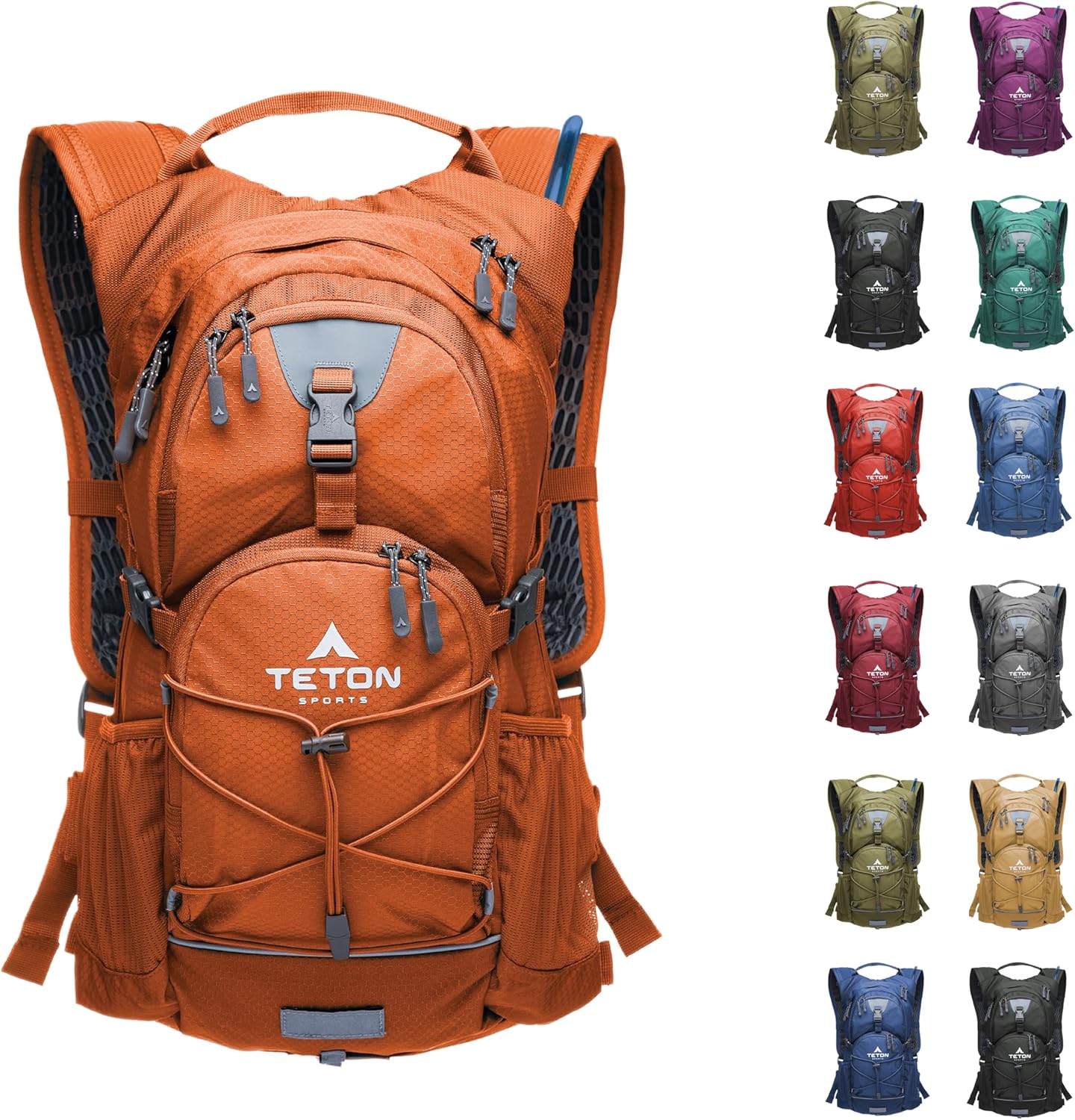 TETON Oasis Hydration Backpack - Lightweight Vest with Rain Cover
