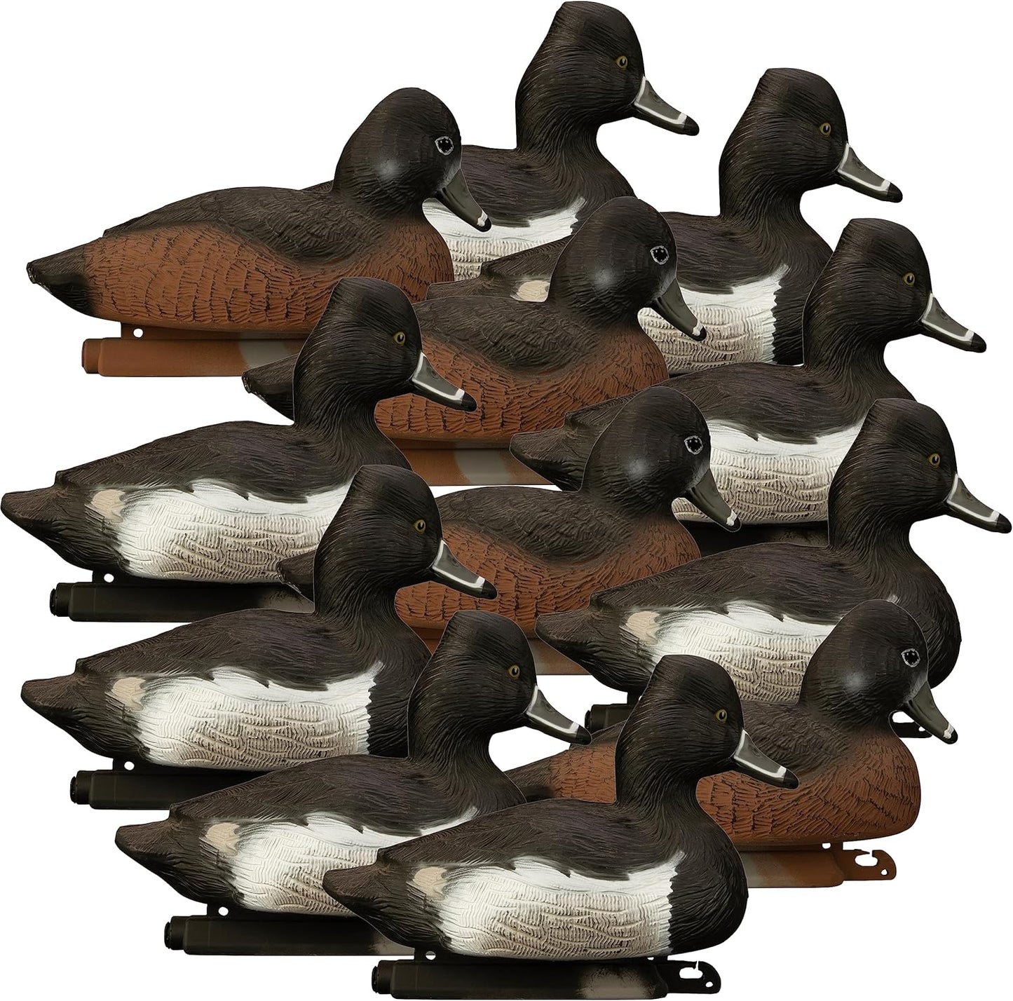 Higdon Outdoors Standard Ringneck Duck Decoys for Hunters