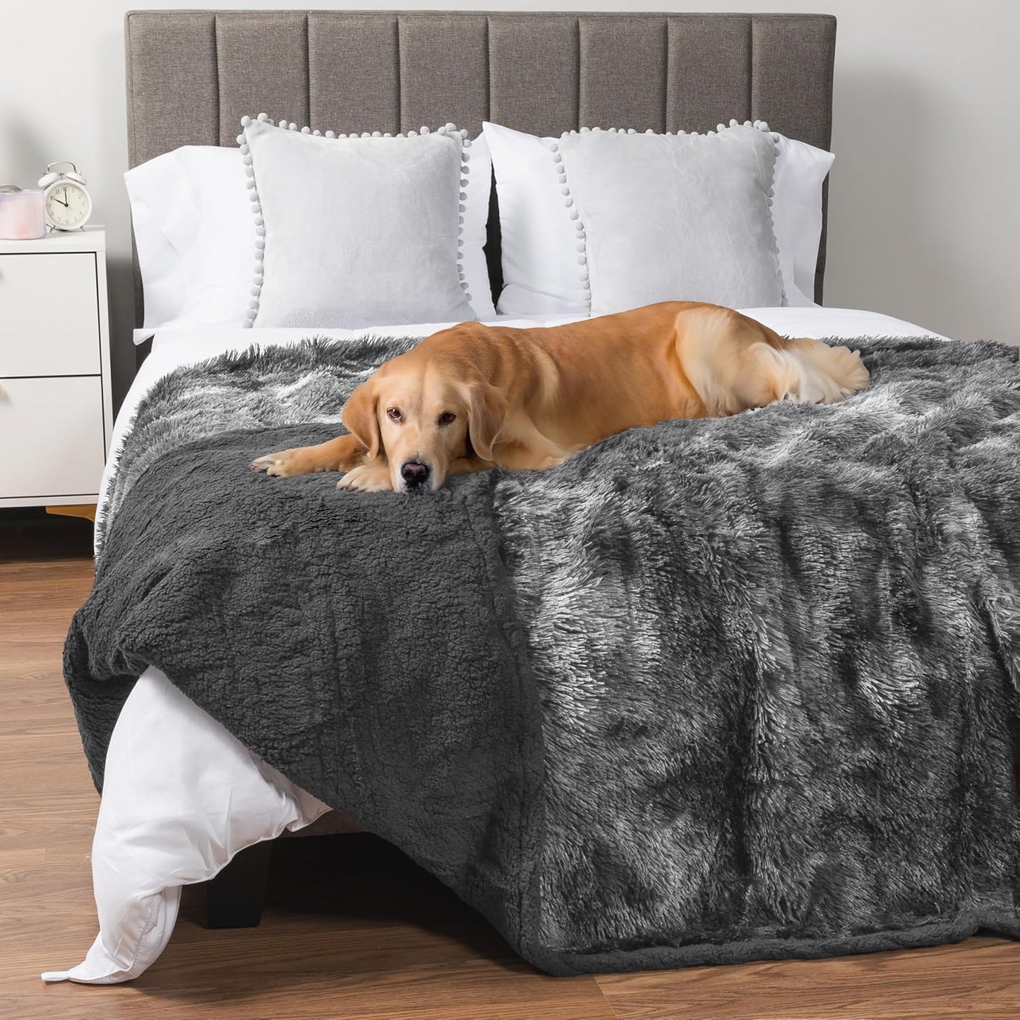 PetAmi Waterproof Dog Blanket for Large Dogs - Soft & Cozy