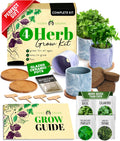 Indoor Herb Garden Kit w/Glazed Ceramic Pots - Easy Kitchen Starter