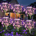 Kohlrabi Solar Garden Lights Outdoor 6 Pack - Purple Lavender Accent