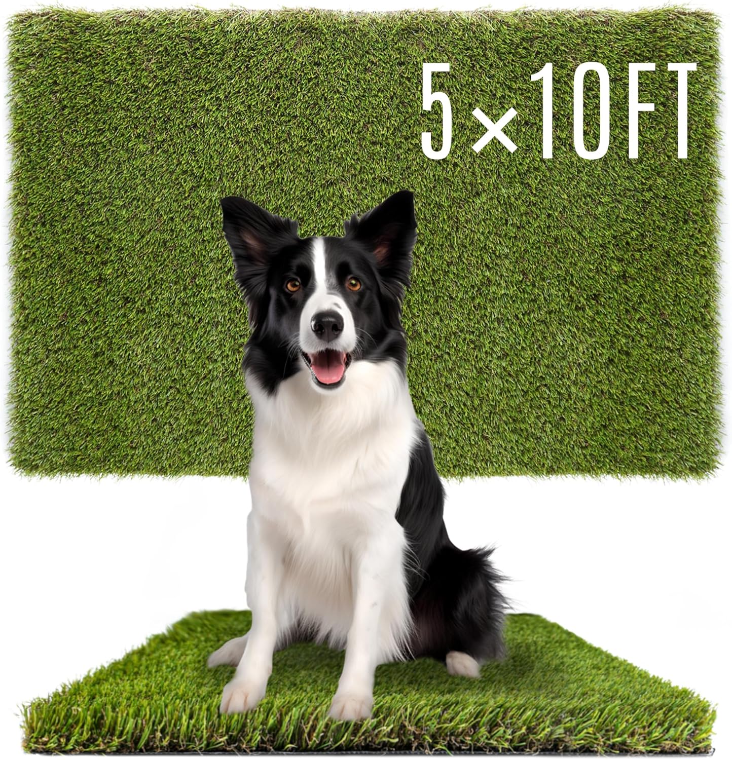 Dog Grass Pads 5 x 10 FT for Indoor Outdoor Potty Training