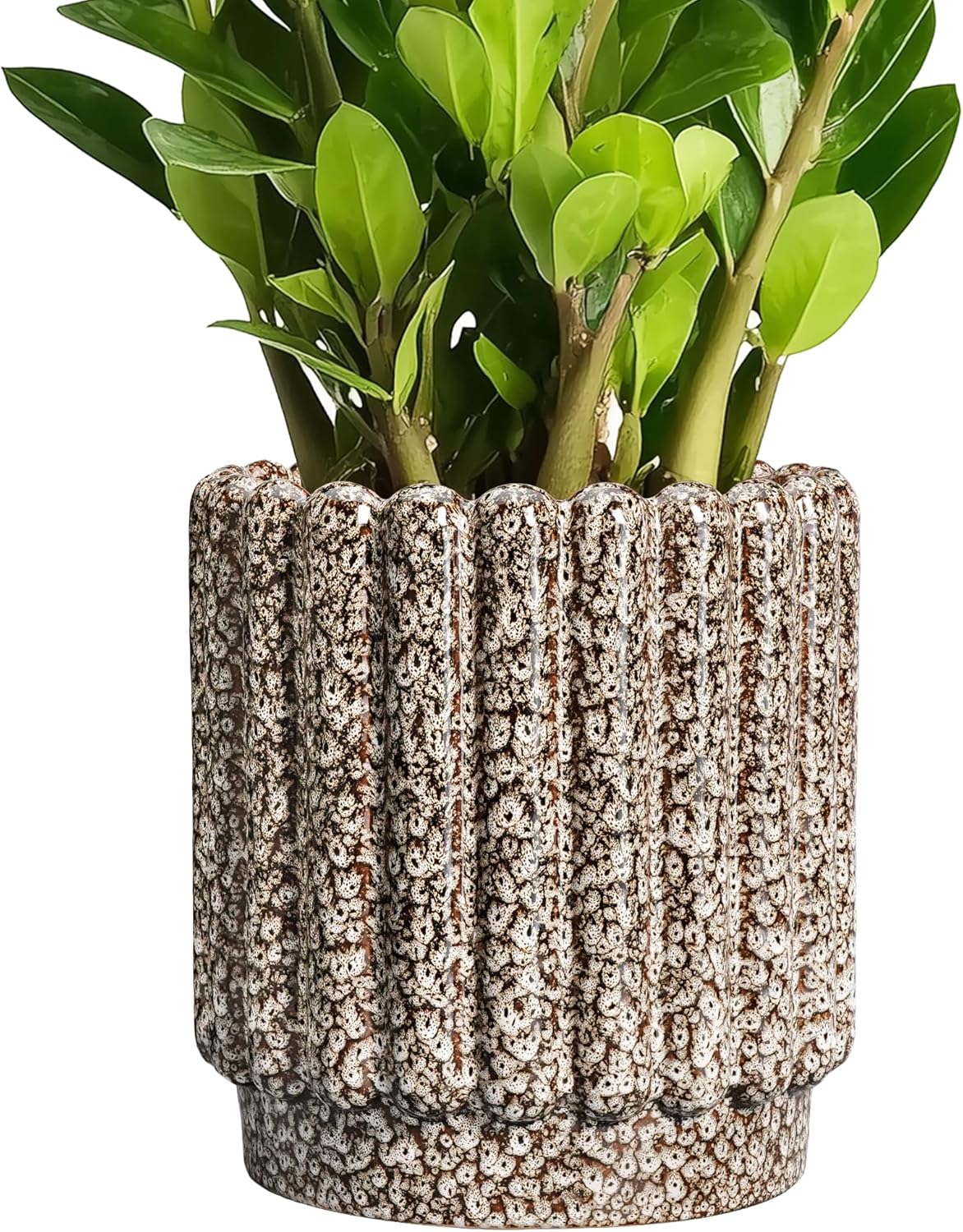Stylish 7.6 Inch Ceramic Plant Pots with Drainage Hole for Decor