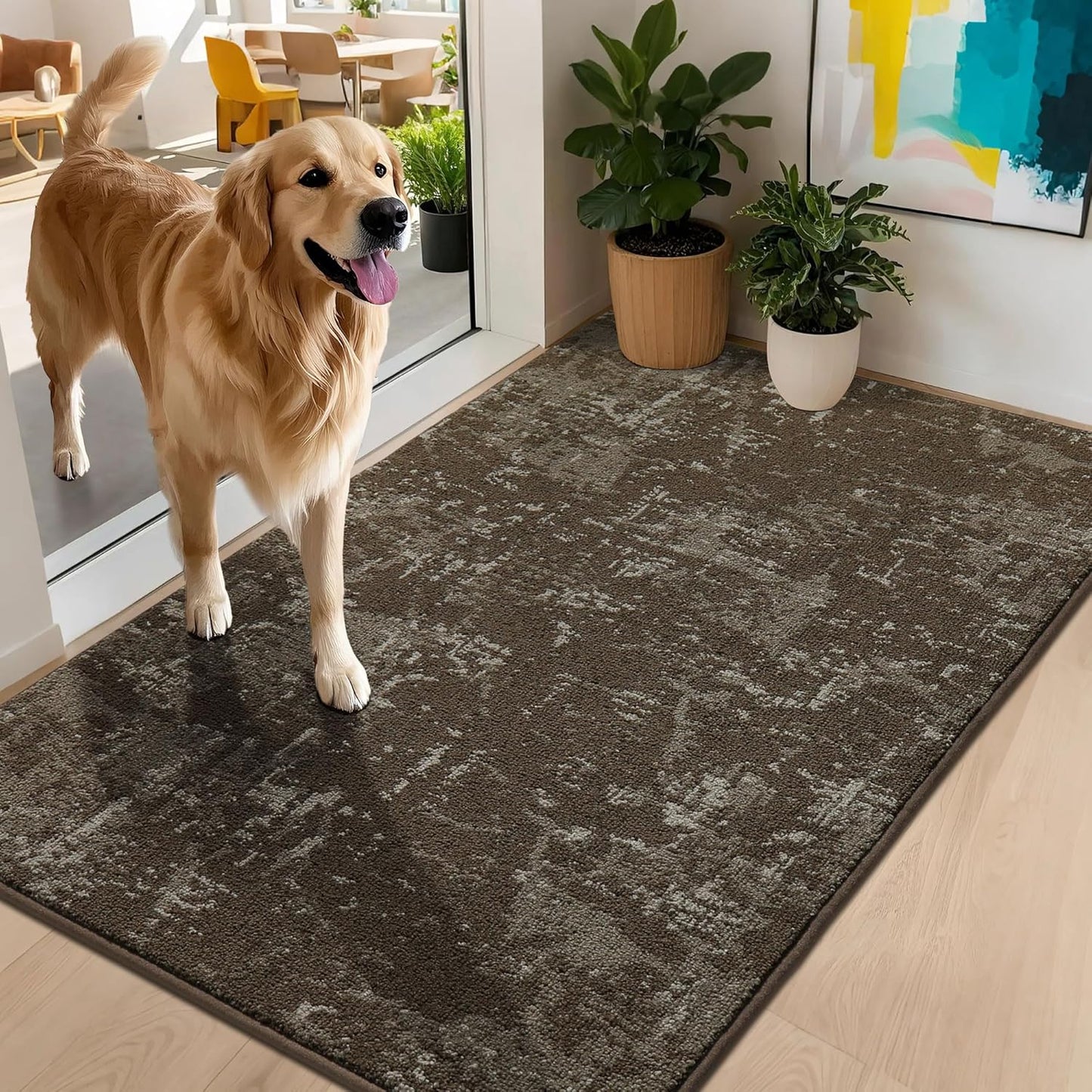 BEQHAUSE Dirt Trapper Door Mat 32x48 Non-Slip Washable Rug