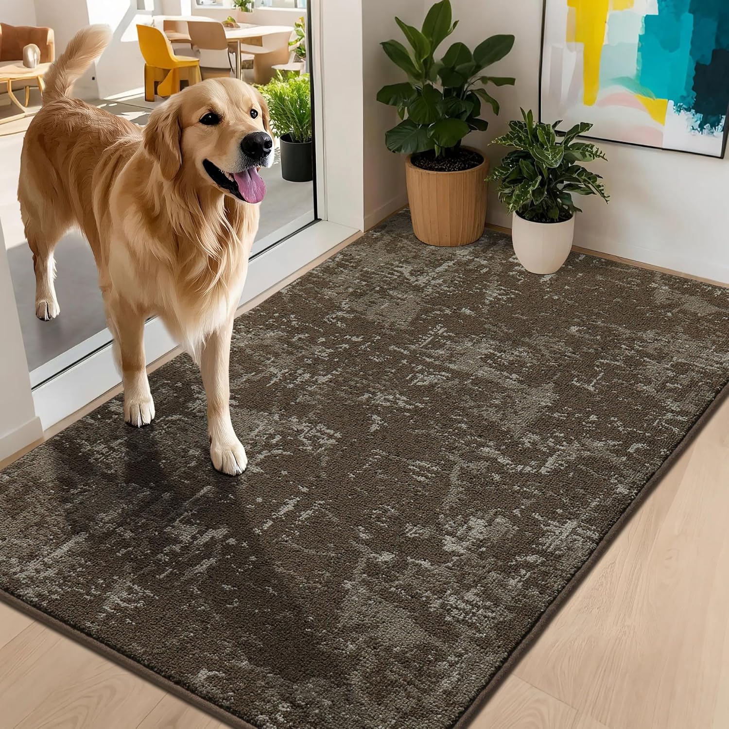 BEQHAUSE Dirt Trapper Door Mat 32x48 Non-Slip Washable Rug