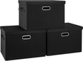 Large 17 in 36 Quart Collapsible Storage Bins with Lids - 3 Pack Black