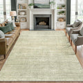 Washable Rugs 4x6 Area Rug - Stain Resistant, Machine Washable 4x6