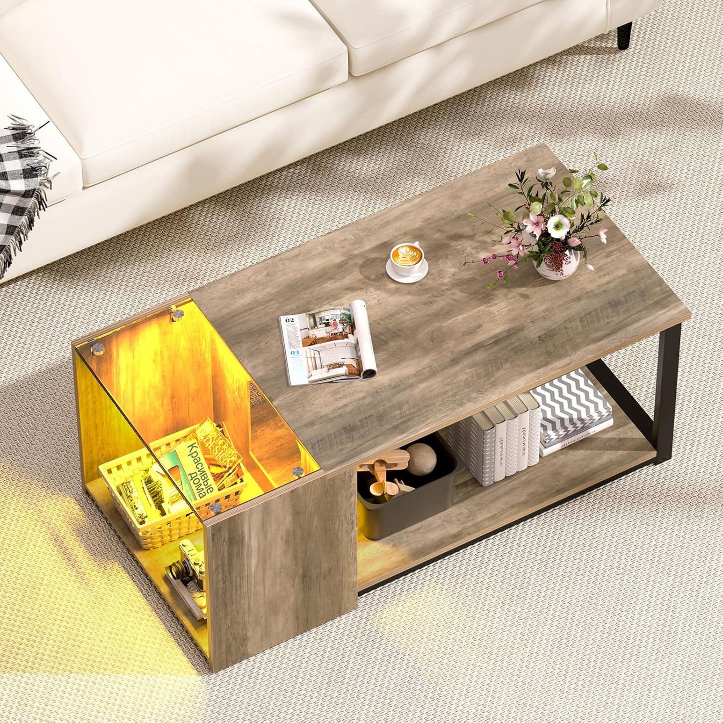 Modern Glass Top Coffee Table with LED Storage, SOROGRA