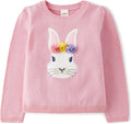 Gymboree Baby-Boys Toddler Long Sleeve Pullover Sweater Review