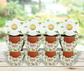 Mini Terracotta Daisy Grow Kit 12-Count - Easy Indoor Gardening