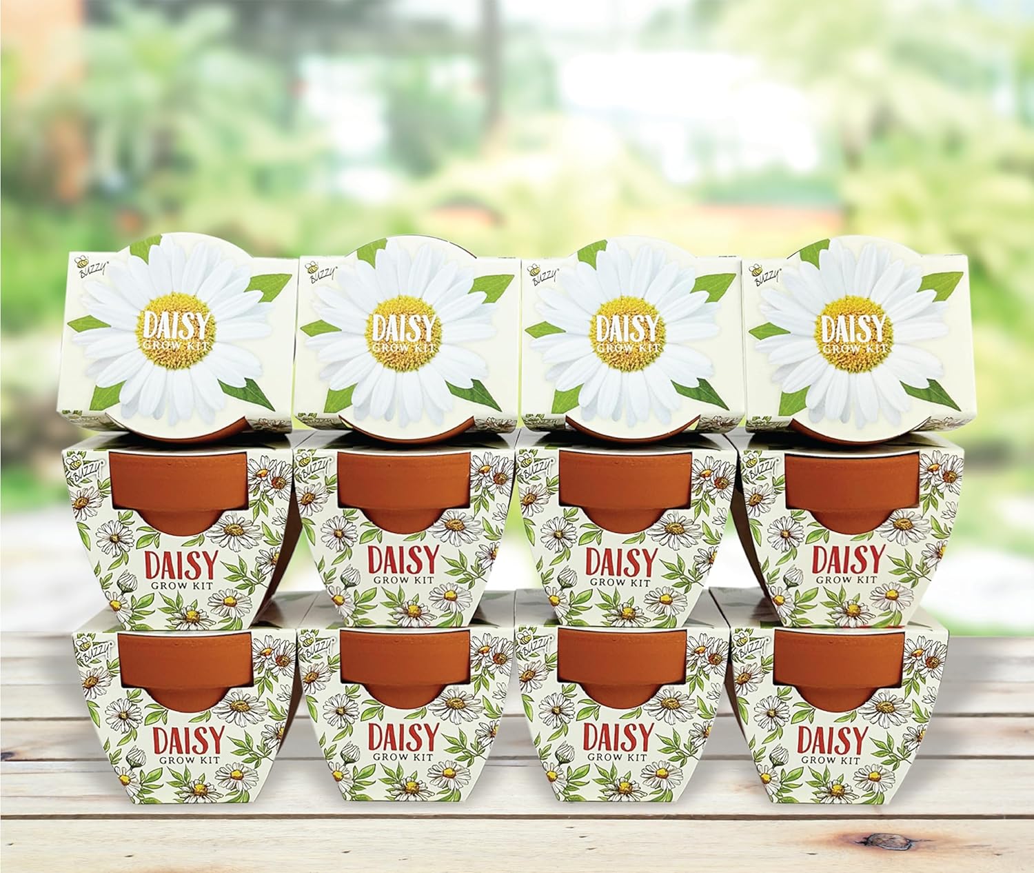 Buzzy Terracotta Mini Grow Pots for Cheerful Daisy Gardens