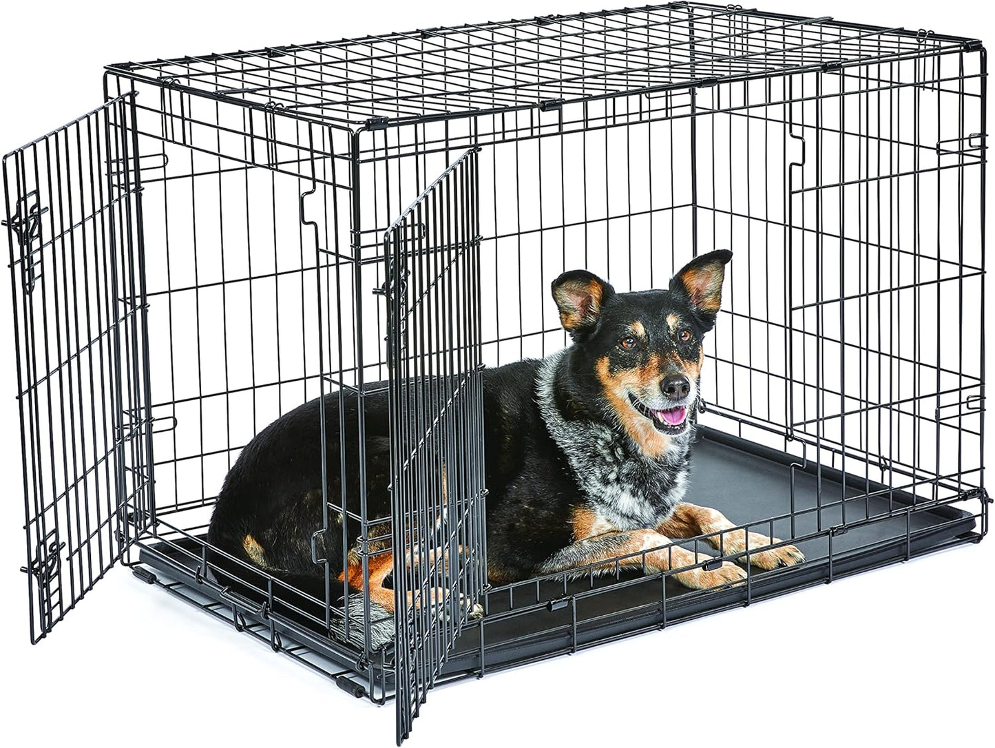 New World Double Door Folding Metal Dog Crate for Medium Breeds
