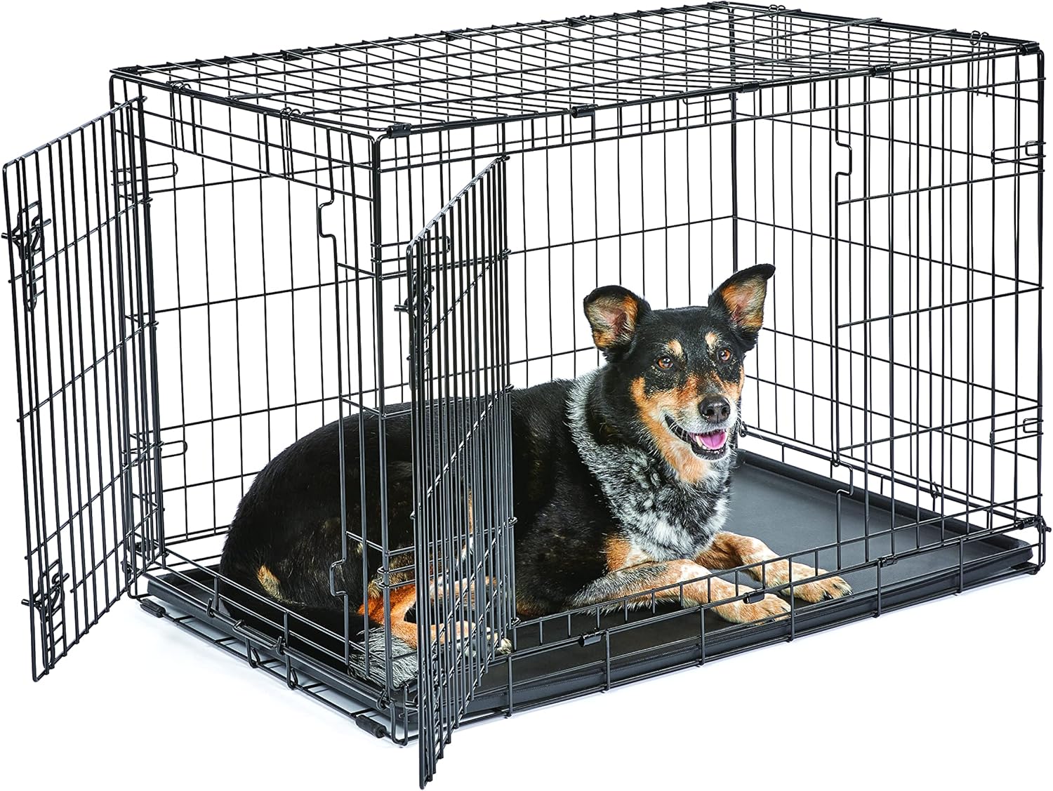 New World Double Door Folding Metal Dog Crate for Medium Breeds