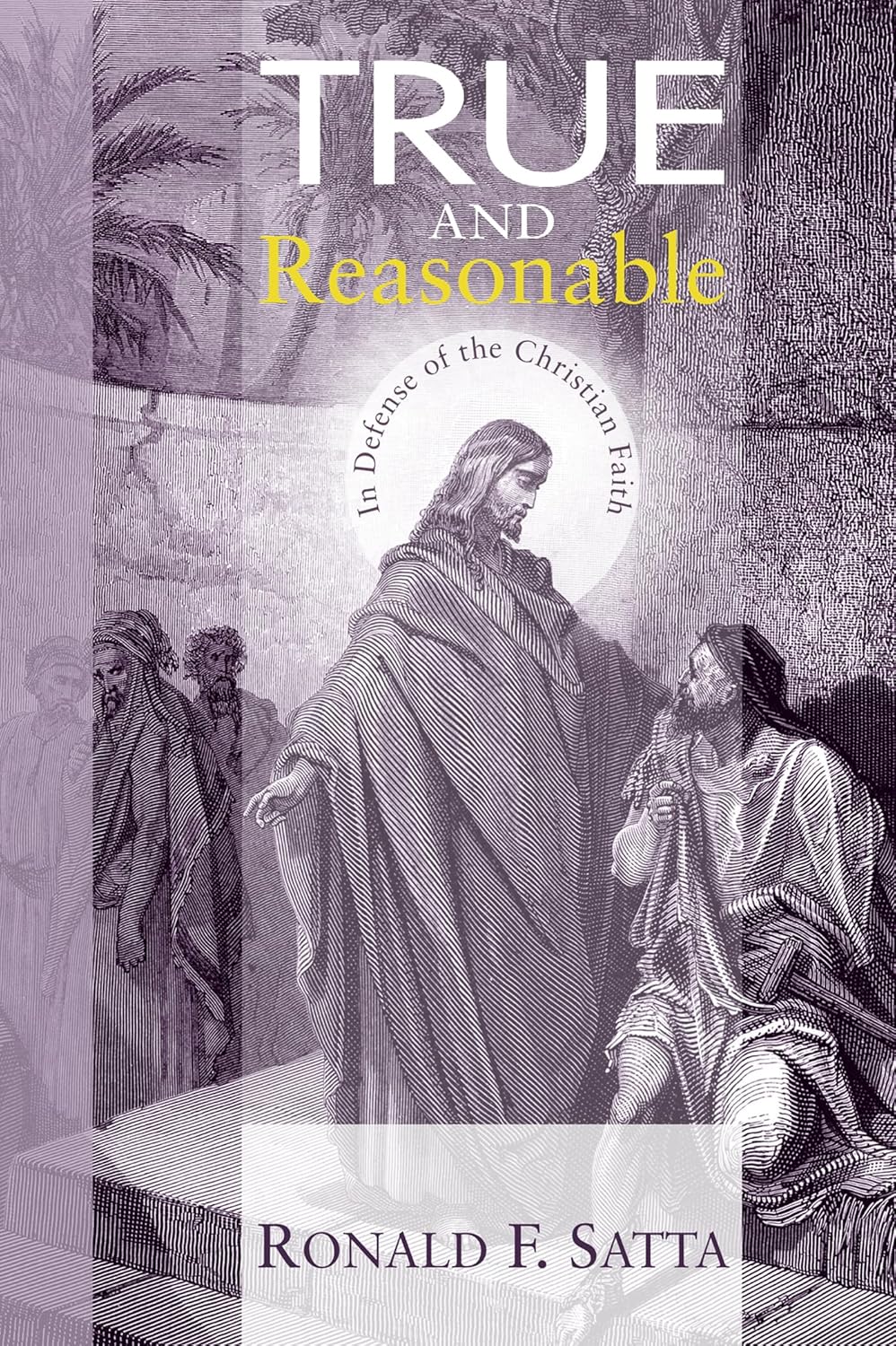 True and Reasonable: In Defense of the Christian Faith Review