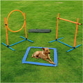 Dog Agility Training Equipment for Indoor and Outdoor Fun