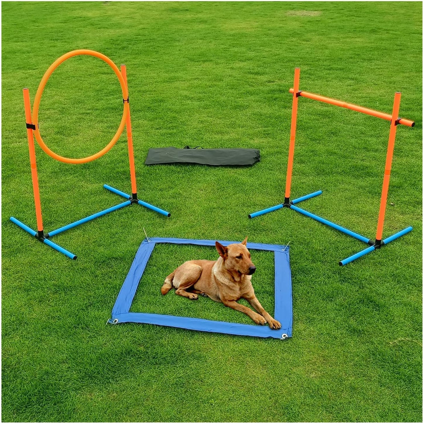 Dog Agility Training Equipment for Indoor and Outdoor Fun