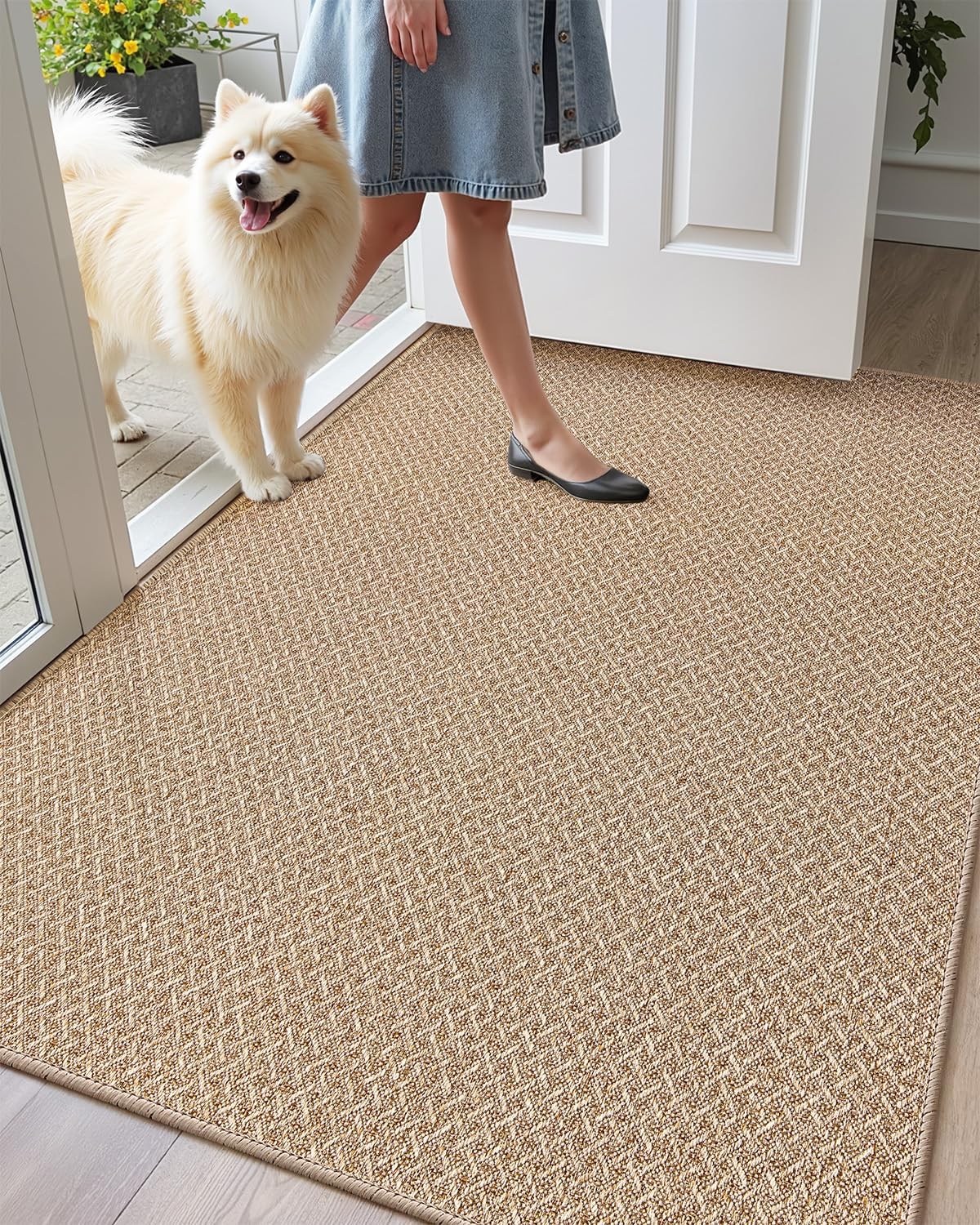 Color&Geometry Ultra Thin Indoor Door Mat for Entryway Use