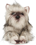 Terri The Cairn Terrier Stuffed Animal - Adorable Plush Toy
