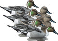 Standard Green Wing Teal Duck Decoys 6PK - Foam-Filled Realism