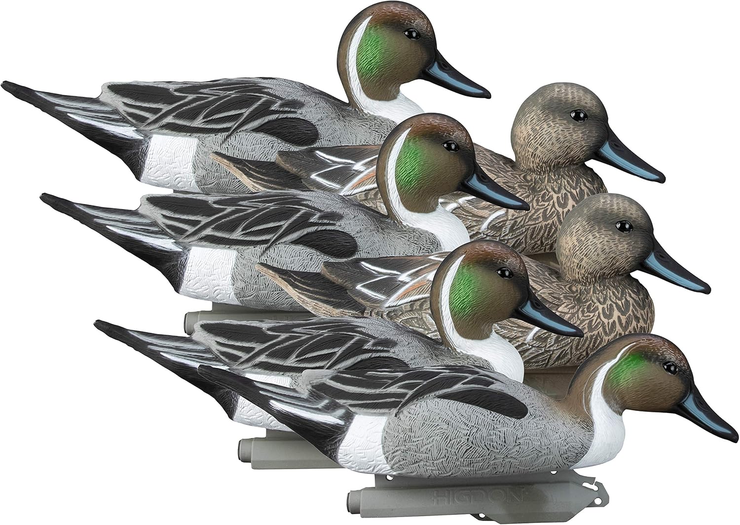 Higdon Outdoors Standard Green Wing Teal Duck Decoys for Realism