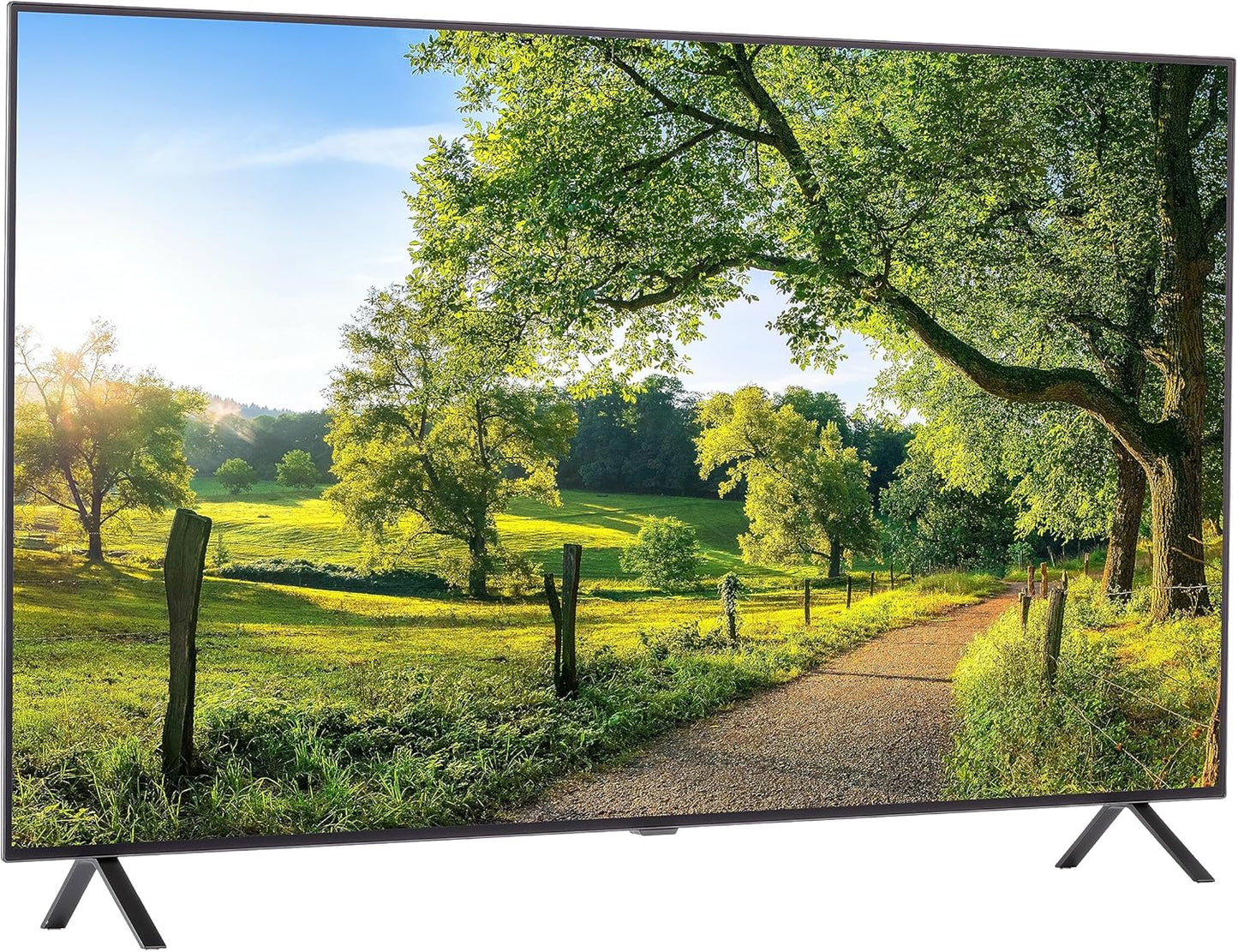 LG 55-Inch Class OLED A2 Series Smart TV with Voice Control