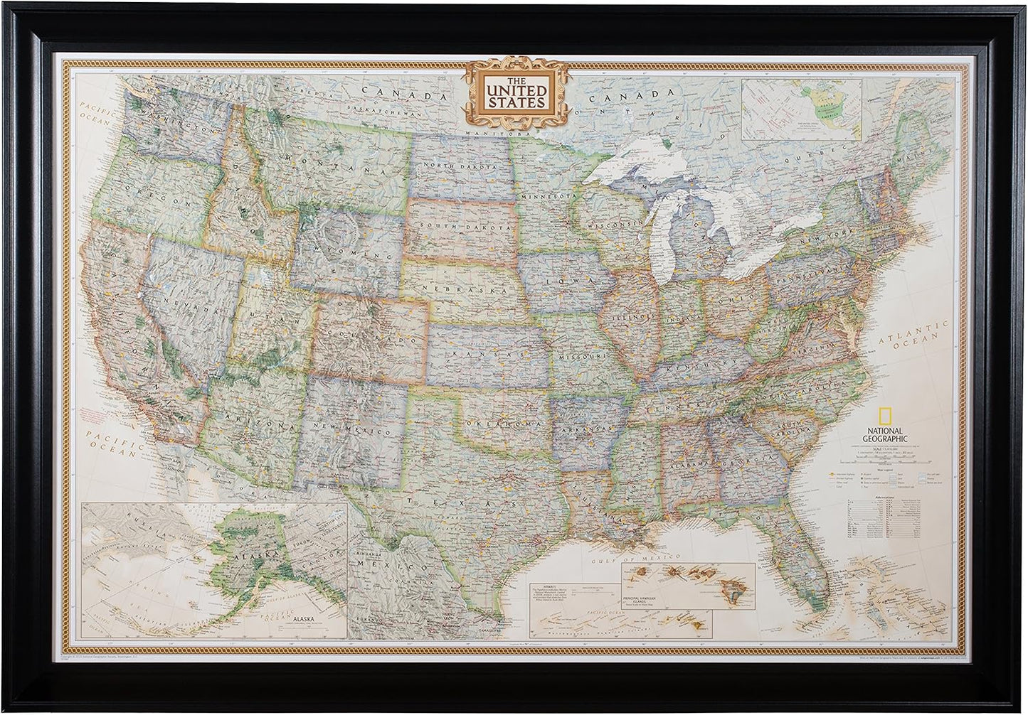 Executive United States Push Pin Travel Map with Satin Frame