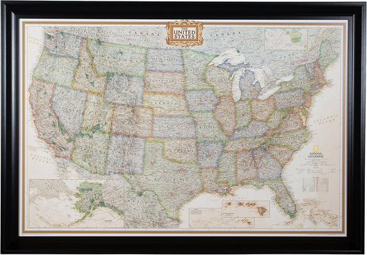 Executive United States Push Pin Travel Map with Satin Frame
