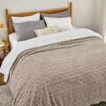 Bedsure Gentlesoft Sherpa Queen Blanket - Cozy Reversible Comfort