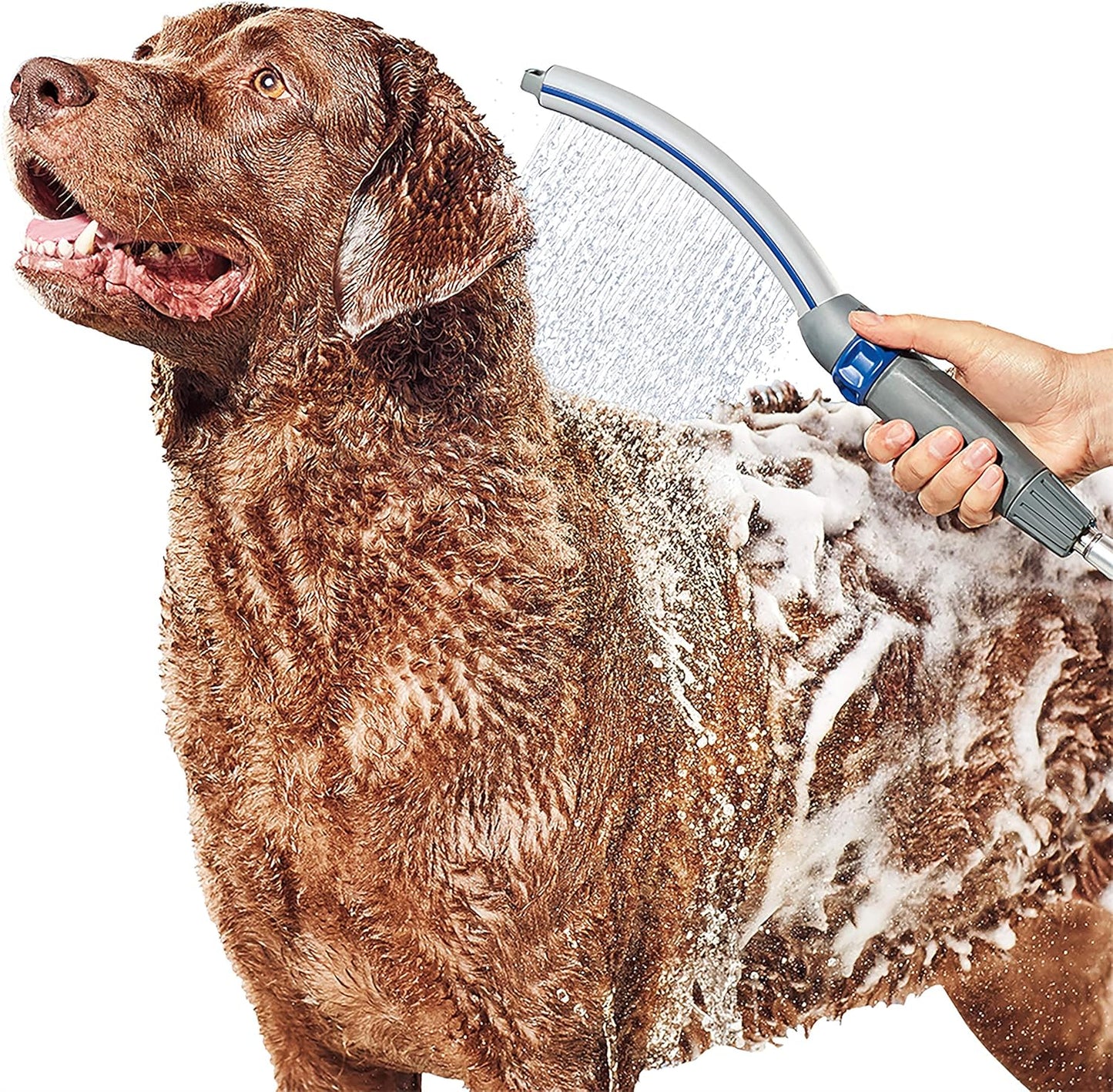 Waterpik Pet Wand Pro Dog Shower Attachment for Easy Bathing