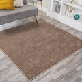Haze Solid Low-Pile Brown 9 ft Square Indoor Area Rug - Easy-Cleaning