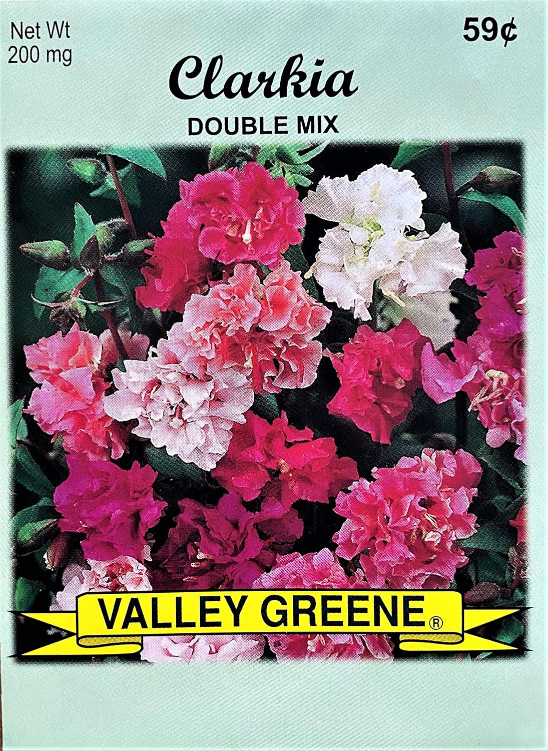 Set of Flower Seed Packets for Your Dream Garden - Non GMO