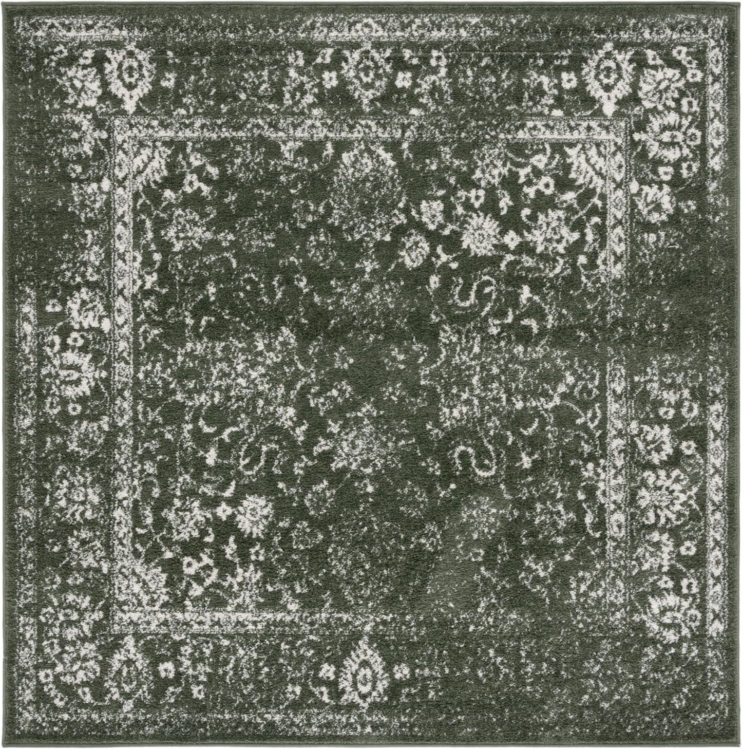 SAFAVIEH Adirondack Collection Area Rug - Stylish & Durable