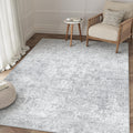 3x5 Area Rug Washable Vintage Carpet for Indoor and Office Use