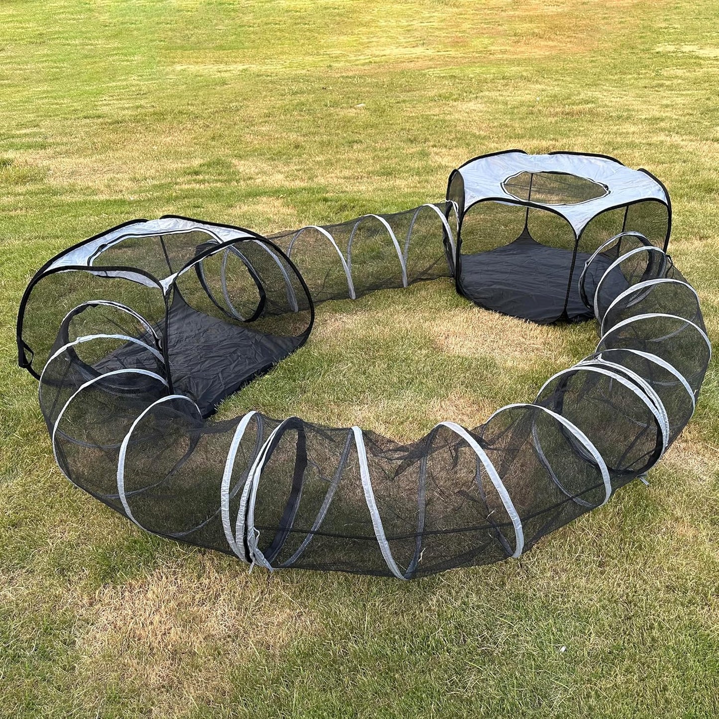 Spacious Cat Tunnel & Tent - Fun Outdoor Play for Multiple Cats - DOZZOPET