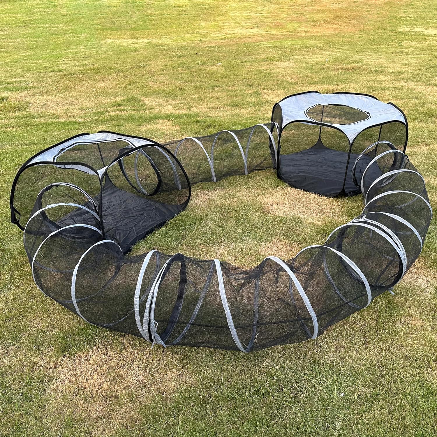 Spacious Cat Tunnel & Tent - Fun Outdoor Play for Multiple Cats - DOZZOPET