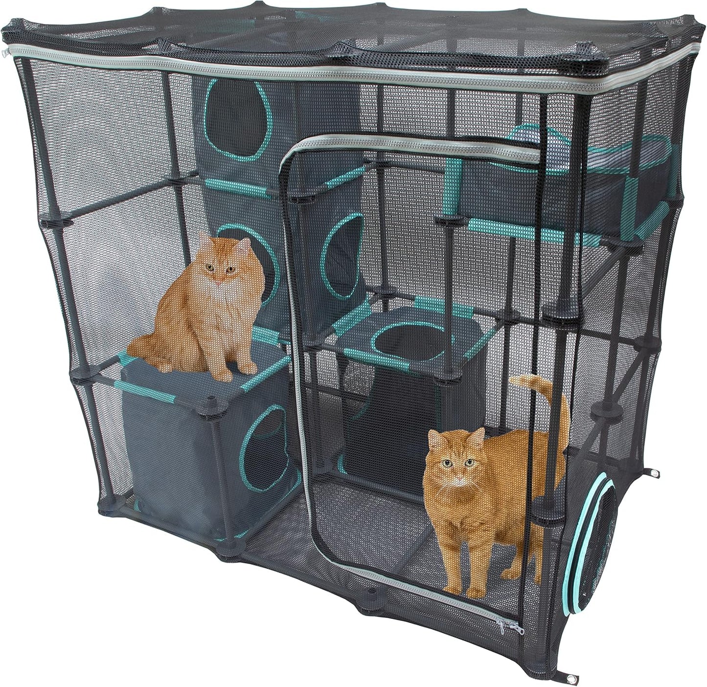 Ultimate Outdoor Cat Furniture Kit