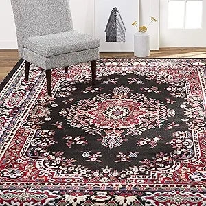 Premium Sakarya Traditional Medallion Border Area Rug, Black