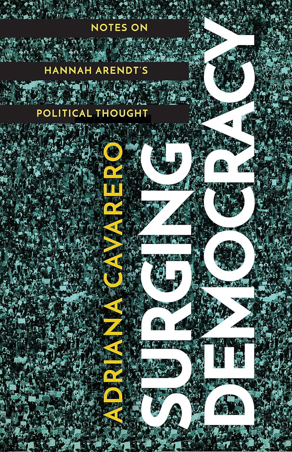 Surging Democracy: Insights into Hannah Arendt's Political Thought